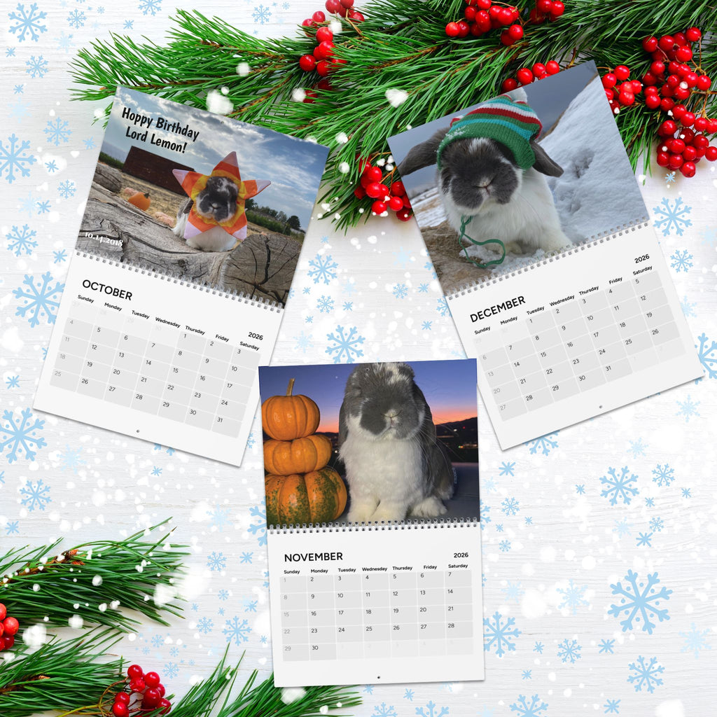 Calendar 2026 featuring cute lop BUNNY